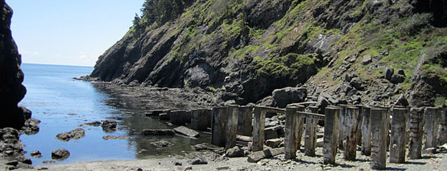Nellie's Cove