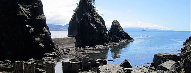 Another View of Nellie's Cove